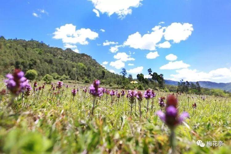 面包车开100公里多少钱?-知识星球平台